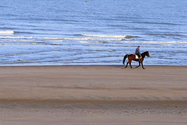 vasilikos horses beach