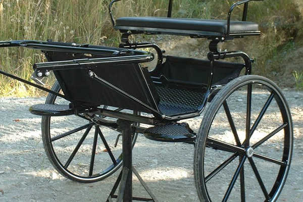 vasilikos horses two-wheeled horse-drawn vehicle
